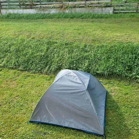 Mira Zlatar Nova Varos