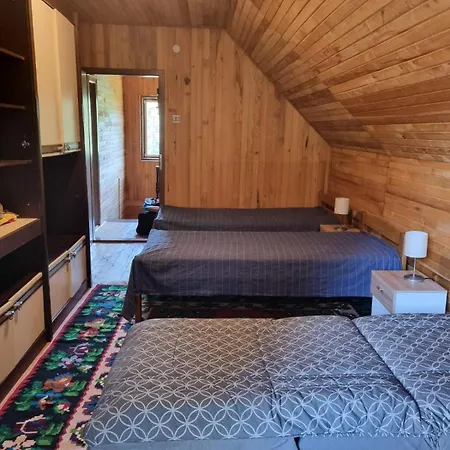 Mira Zlatar Holiday home *