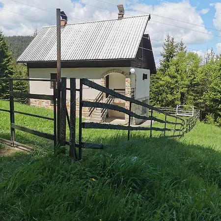 Mira Zlatar Holiday home *