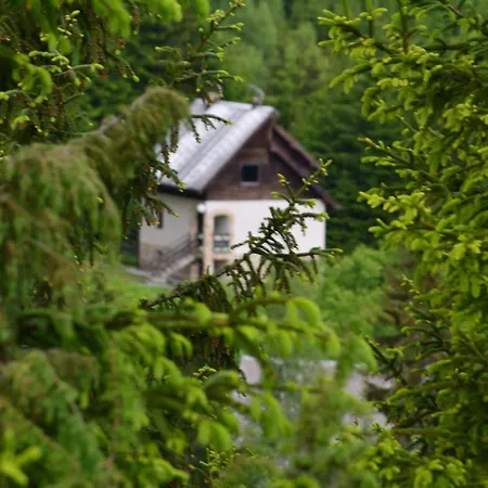 Mira Zlatar