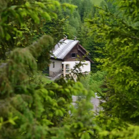 Mira Zlatar * Nova Varos