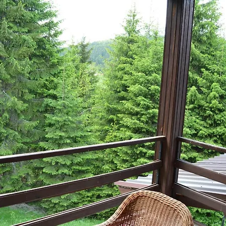 Mira Zlatar * Nova Varos