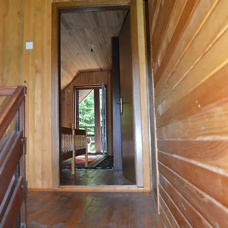 Mira Zlatar * Nova Varos