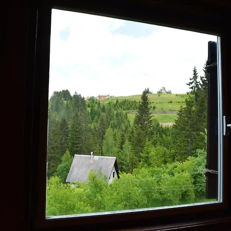 Mira Zlatar * Nova Varos