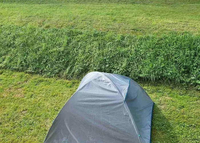 Mira Zlatar Nova Varoš