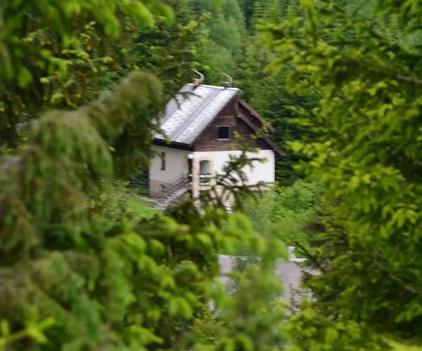 Mira Zlatar * Nova Varoš