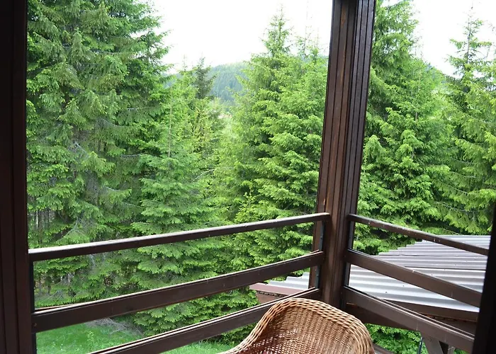 Mira Zlatar * Nova Varoš