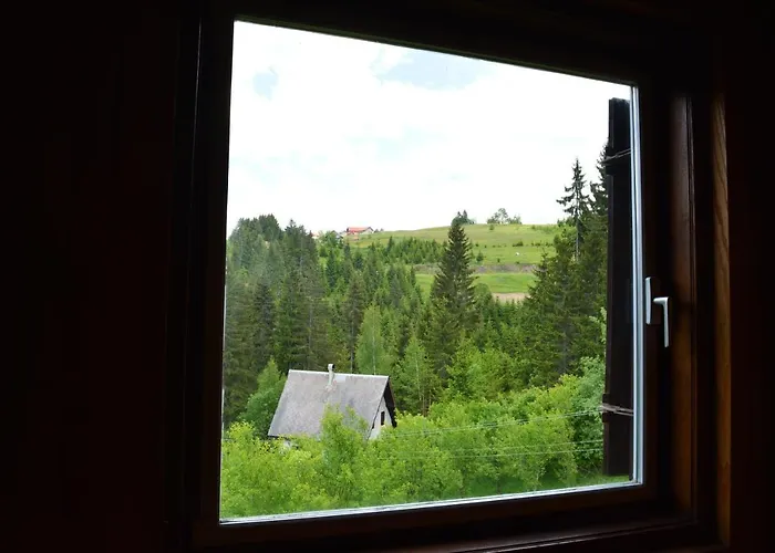 Mira Zlatar * Nova Varoš